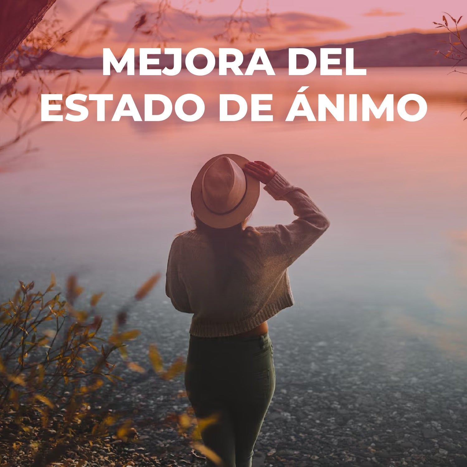 Salud